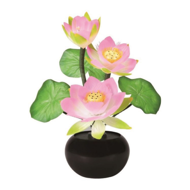 ルミナス 1号 蓮華 ¥12,500